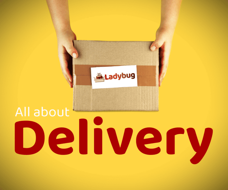 Ladybug - Ladybug Online Store