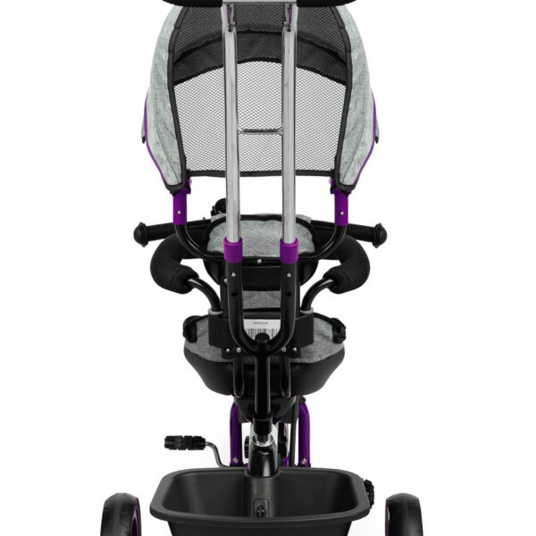 Tricycle – Buzz Purple