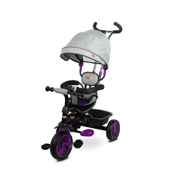 Tricycle – Buzz Purple