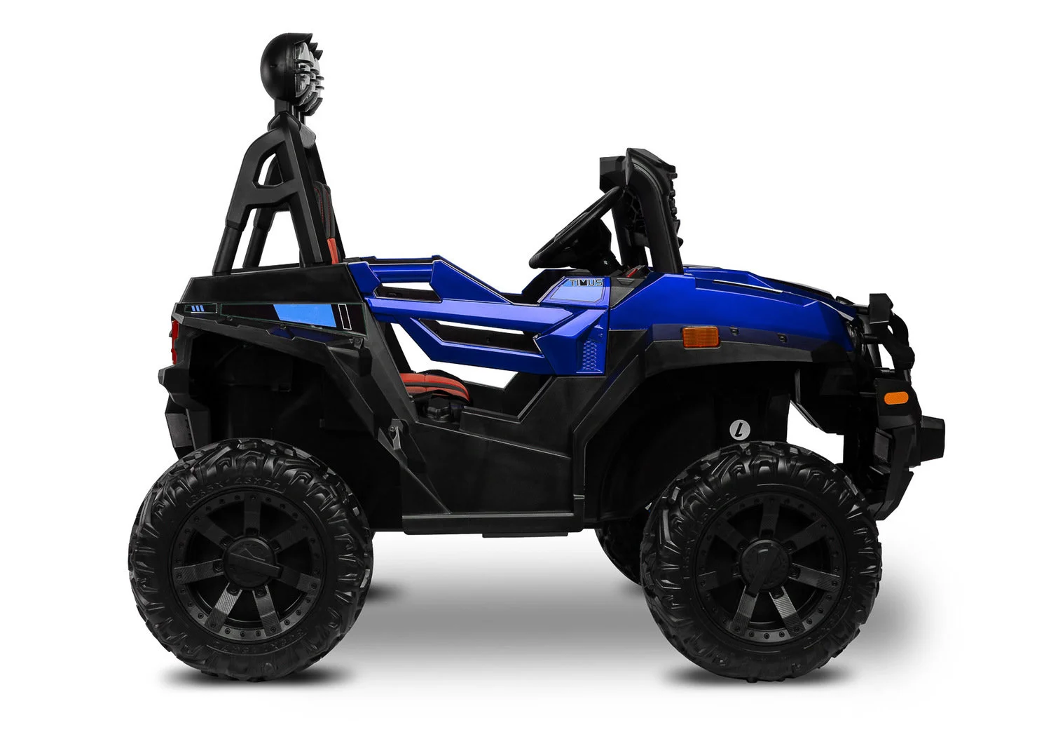 Timus blue - Ladybug Online Store