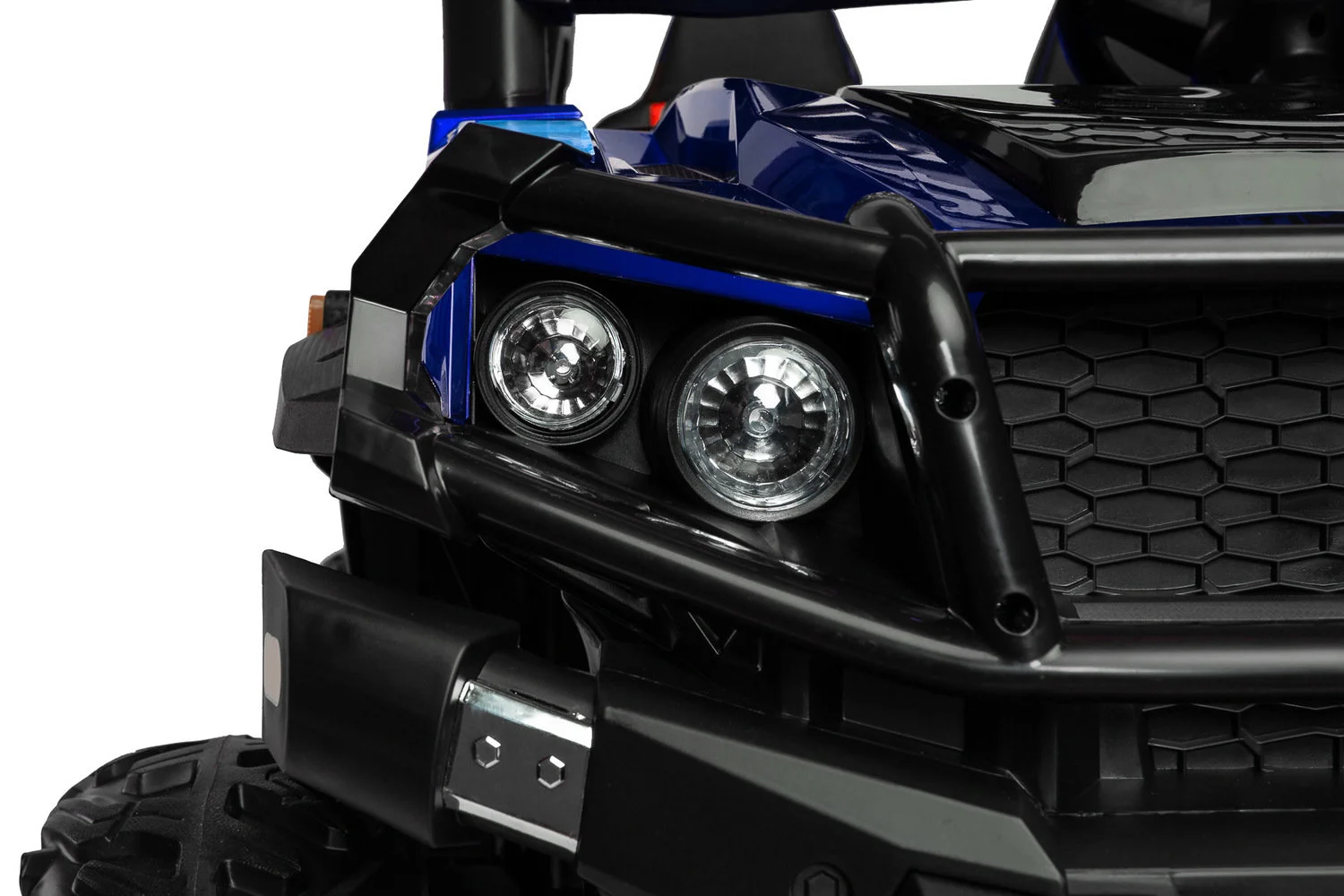 Timus blue - Ladybug Online Store