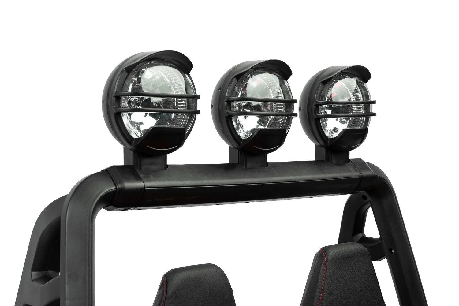 Timus blue - Ladybug Online Store