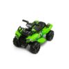 Mini Raptor green - Ladybug Online Store