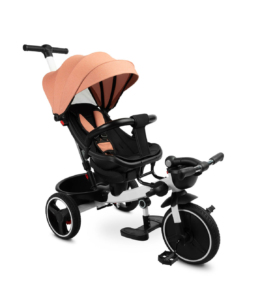 Tricycle - Dash pink - Ladybug Online Store